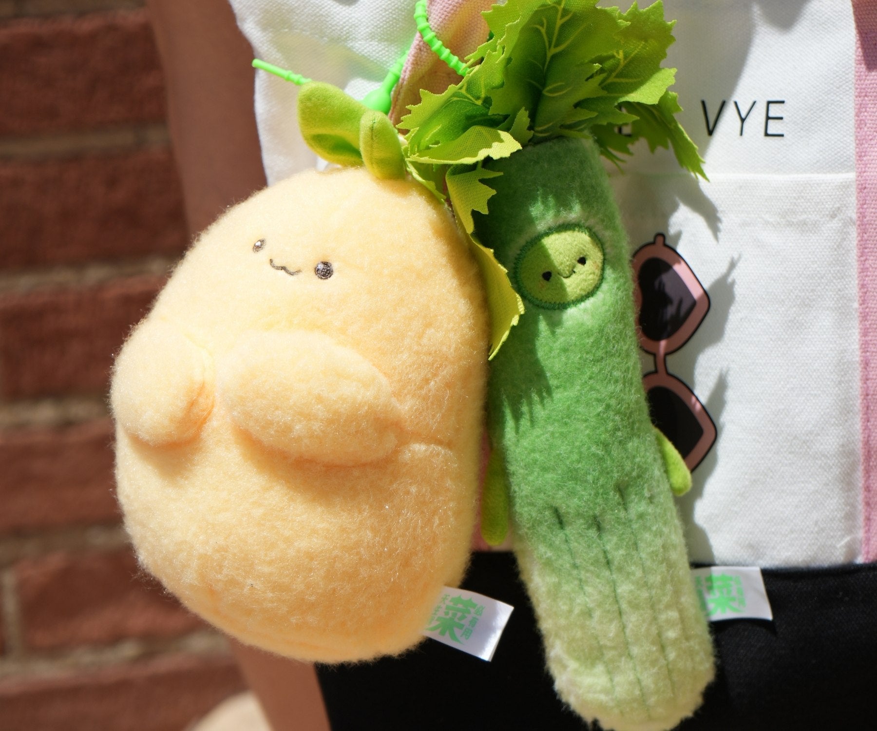 BAZUUYU VEGETABLE FAMILY (LARGE)